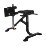 Powertec Dual Hyperextension/Crunch P-HC20